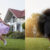Split image: Left shows a young girl twirling on grass with clear vision labeled "Normal Vision." Right shows same scene with a dark blurry spot in the center, labeled "Macular Degeneration.