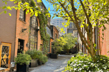 A sunlit brick alley is lined with ivy-covered buildings, potted plants, and leafy trees, creating a peaceful, green atmosphere on a clear day.