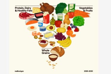 A variety of foods shaped in a heart, divided into Protein, Dairy & Healthy Fats; Vegetables & Fruits; and Whole Grains, illustrating a balanced diet. Foods include fish, eggs, cheese, vegetables, fruits, bread, and rice.