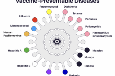 A circular diagram titled "Vaccine-Preventable Diseases," displaying 14 colored circles, each labeled with a disease such as measles, mumps, rubella, influenza, hepatitis, and others, surrounding a stylized virus graphic.