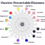 A circular diagram titled "Vaccine-Preventable Diseases," displaying 14 colored circles, each labeled with a disease such as measles, mumps, rubella, influenza, hepatitis, and others, surrounding a stylized virus graphic.