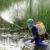 A person wearing protective clothing and a backpack sprayer stands in shallow water among tall grass, spraying chemicals or pesticides onto plants.
