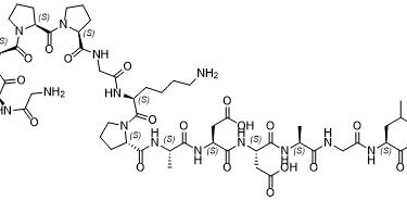 Chemical structure diagram of cyclosporine, showing a complex cyclic peptide with multiple amino acid residues, double bonds, and distinct functional groups including amides, methyl groups, and hydroxyl groups.