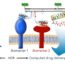 Diagram showing two cell membrane biomarkers interacting with DNA probes, triggering logic-gated endocytosis for computed drug delivery. Arrows illustrate the process from biomarkers to drug entry into the cell.