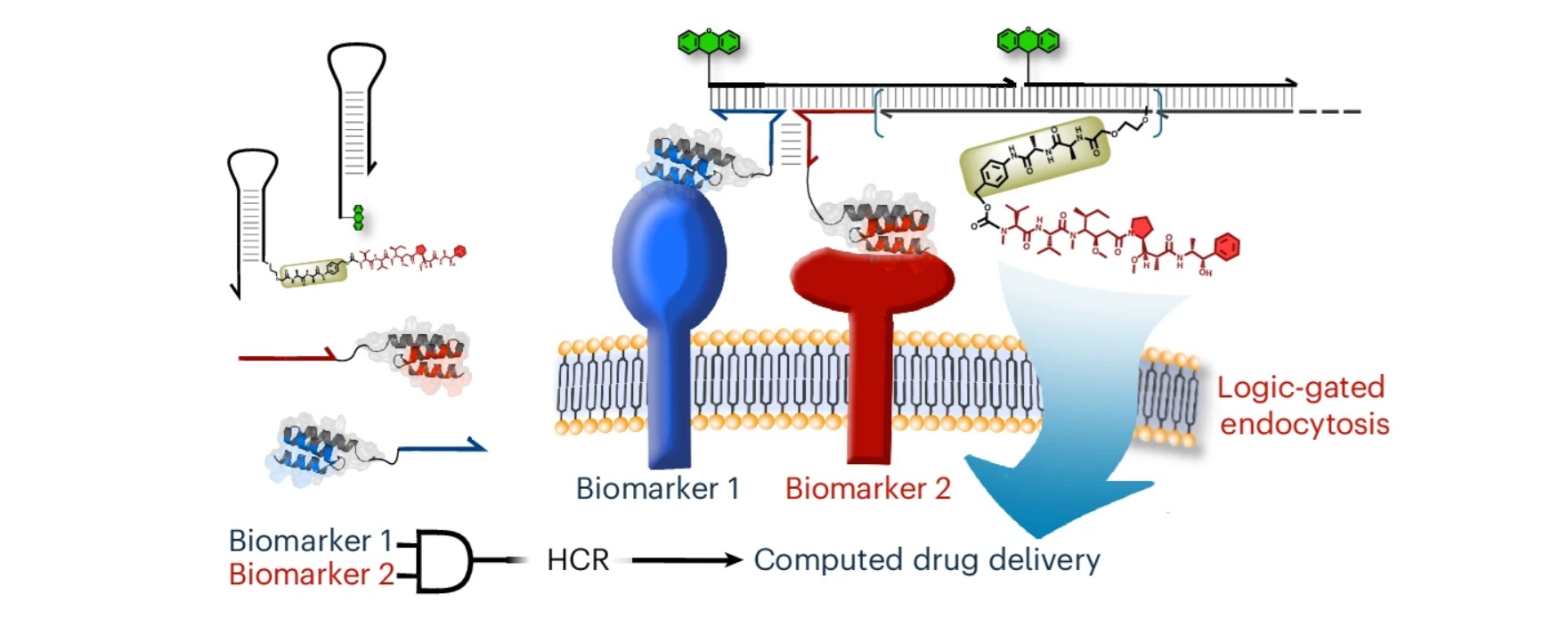 Smart Drugs Are Here | Science-Based Medicine Smart Drugs Are Here | Science-Based Medicine