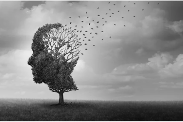 A tree shaped like a human head stands in a field; its branches lose leaves that are blowing away, symbolizing memory loss or fading thoughts under a cloudy sky.
