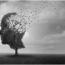 A tree shaped like a human head stands in a field; its branches lose leaves that are blowing away, symbolizing memory loss or fading thoughts under a cloudy sky.