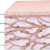 Interstitium
