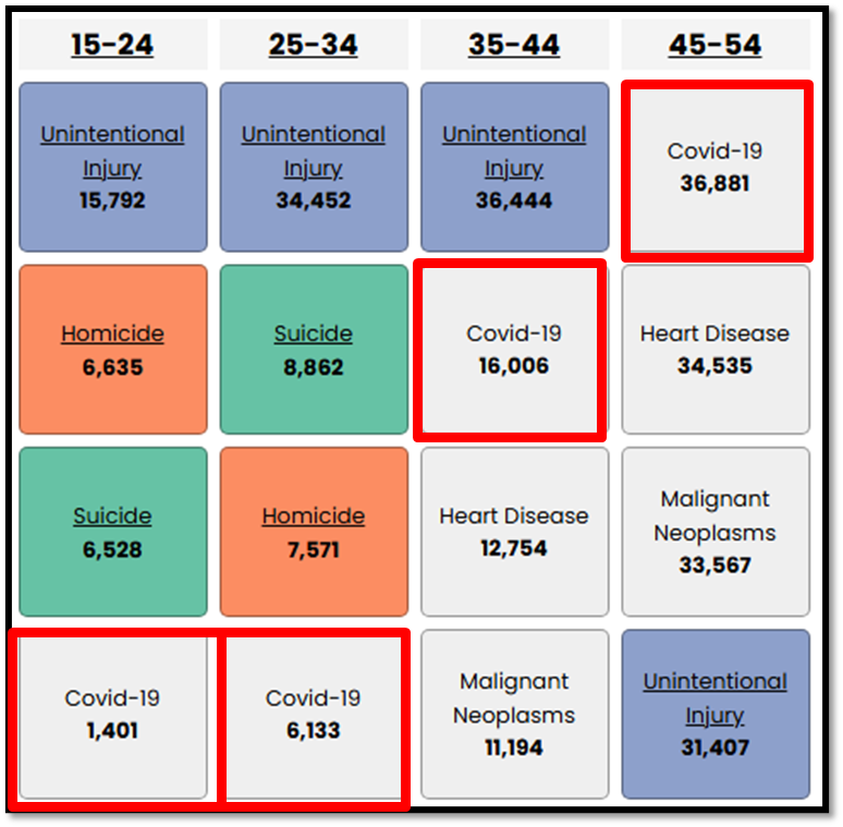 A chart showing leading causes of death by U.S. age group. Covid-19 is highlighted as a top cause for ages 35–44, 45–54, and 55–64. Other causes listed include unintentional injury, suicide, homicide, and heart disease.