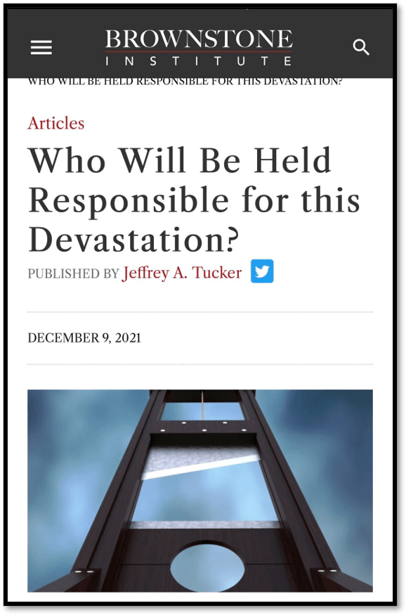 Screenshot of a Brownstone Institute article titled "Who Will Be Held Responsible for this Devastation?" showing a guillotine illustration and publication details.