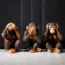 Three monkey figurines sit side by side: one covers its eyes, one covers its ears, and one covers its mouth, symbolizing “see no evil, hear no evil, speak no evil.”.