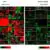 BMJ: PRR vs. Bayes