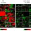 BMJ: PRR vs. Bayes