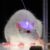 A white laboratory rat with an illuminated fiber optic implant on its head.